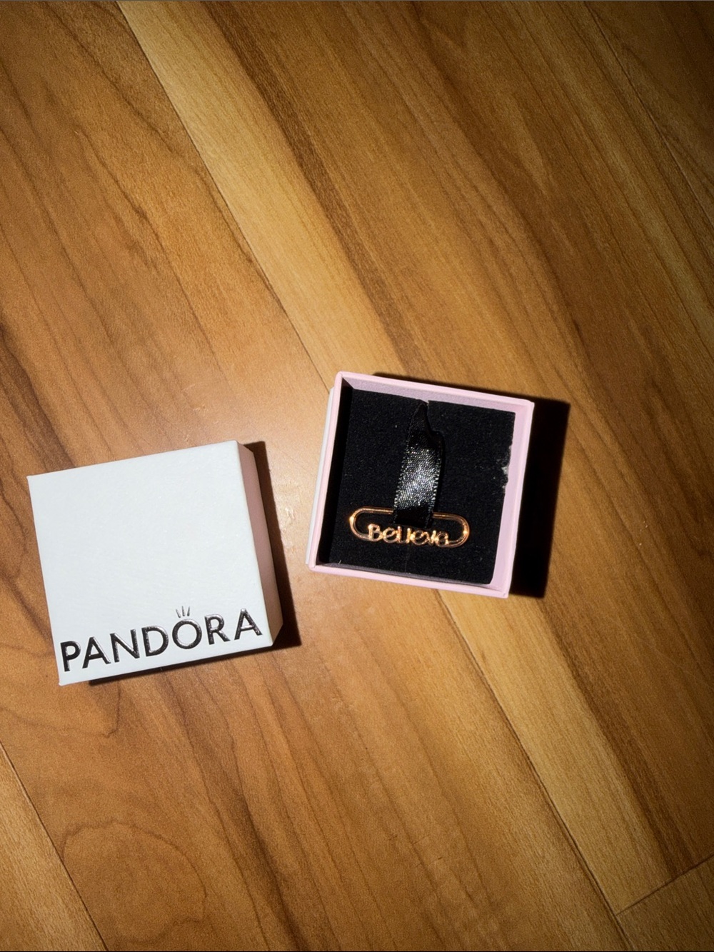 Pandora Believe Charm with bag
